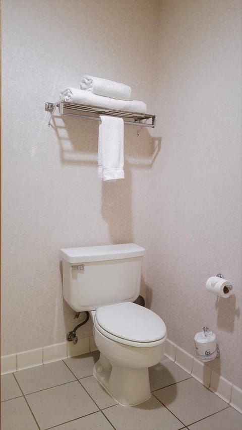 Holiday Inn Express Mesa Verde-Cortez by IHG Hotel in Cortez