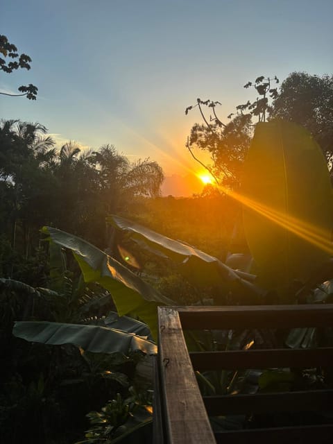 Natural landscape, Sunset