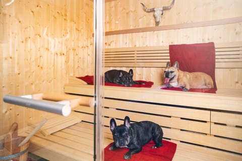 Sauna, Spa and wellness centre/facilities