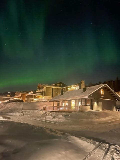 Property building, Night, Winter