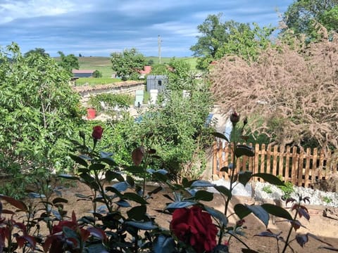 Garden, Garden view