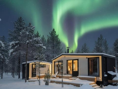 Property building, Natural landscape, Winter