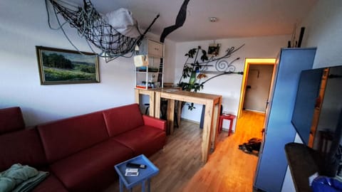Living room, Other, Photo of the whole room, Decorative detail, Seating area, Dining area, Food, storage, wardrobe