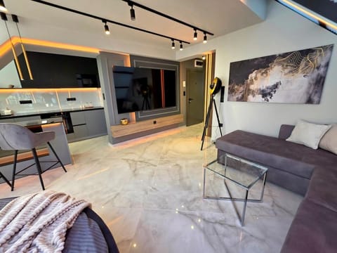 TV and multimedia, Kitchen or kitchenette, Living room, Seating area