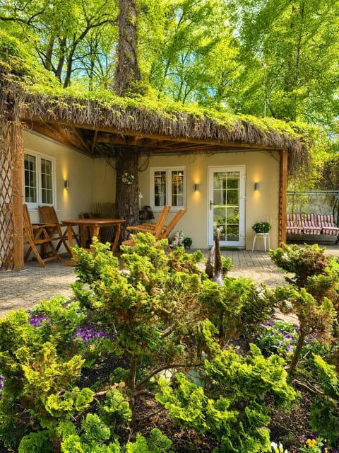 Natural landscape, Garden, Garden view