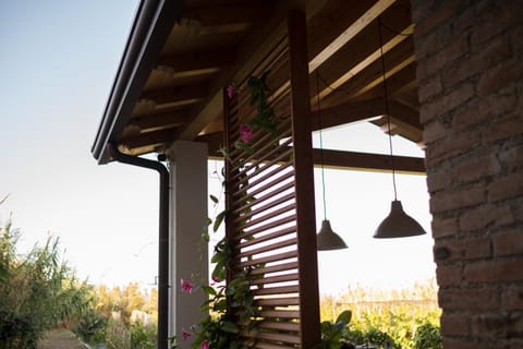 Garden, Lobby or reception