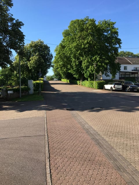 Natural landscape, Street view