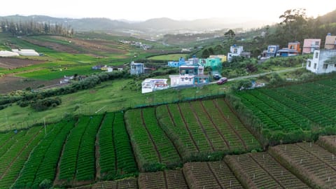 Property building, Natural landscape, Bird's eye view