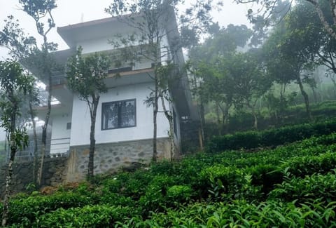 Property building, Natural landscape
