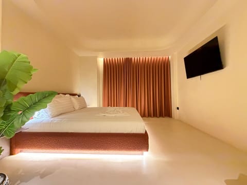 Bed, TV and multimedia