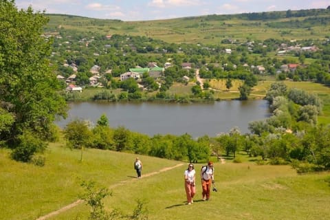 Nearby landmark, Day, Natural landscape, Lake view, group of guests