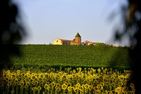 Landmark view