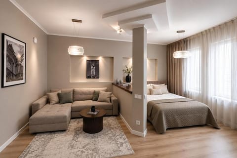 Bed, Living room, Photo of the whole room, Seating area, Bedroom