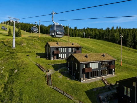 Property building, Natural landscape