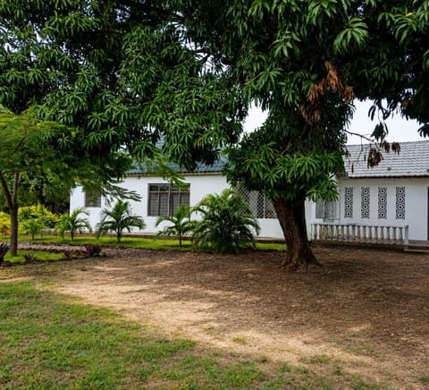 Property building, Natural landscape, Garden, Garden view