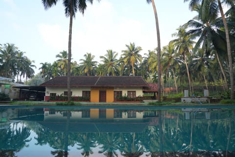 Pool view, Swimming pool, Swimming pool