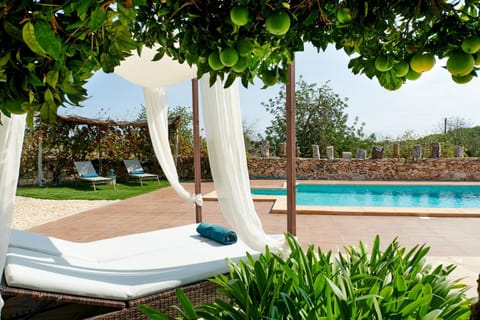 Garden, Swimming pool