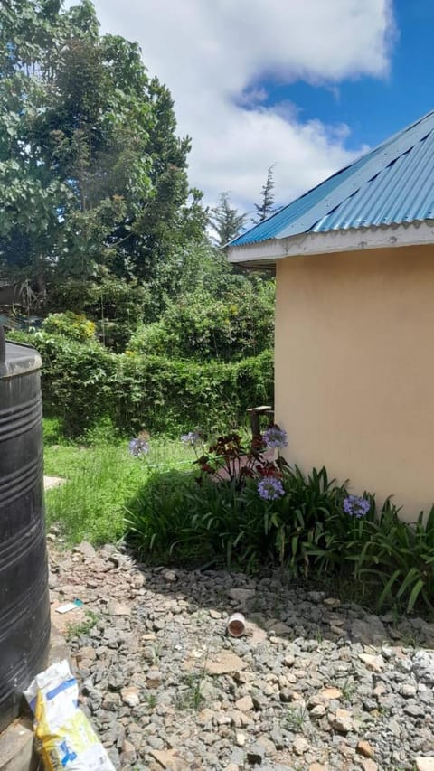 Property building, Day, Garden view, Inner courtyard view