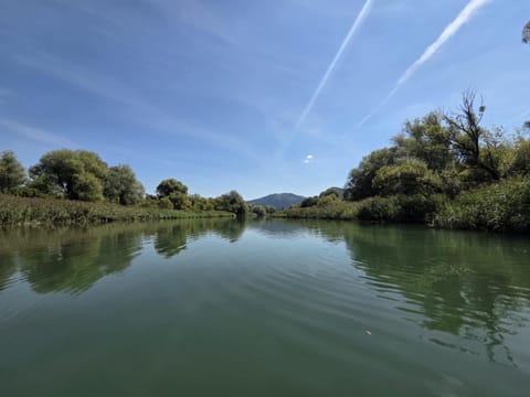 Natural landscape