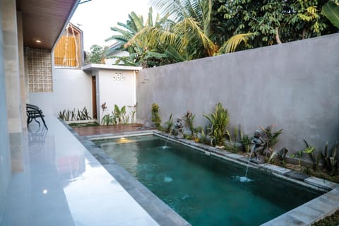 Garden, Swimming pool, Swimming pool