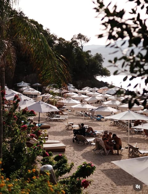 Nearby landmark, Natural landscape, Beach