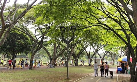 Property view