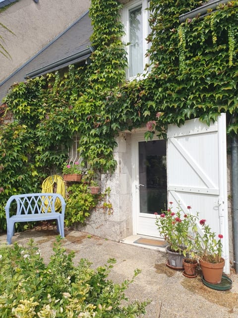 Property building, Patio, Garden
