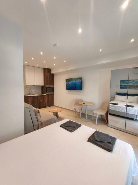 Bed, TV and multimedia, Kitchen or kitchenette, Living room, Photo of the whole room, Seating area, Dining area