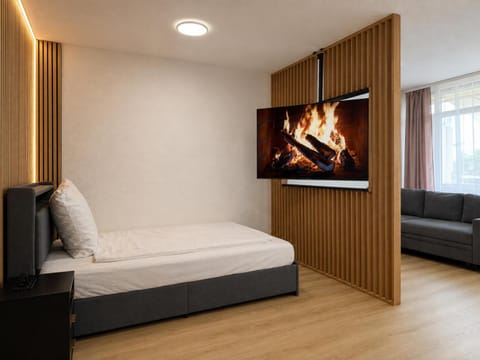 Bed, TV and multimedia, Living room, Photo of the whole room, Seating area, Evening entertainment, Bedroom