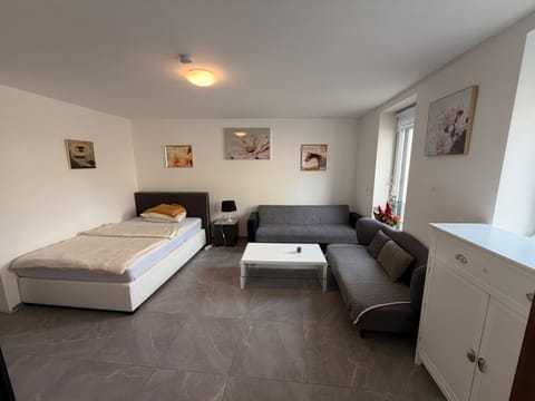 Bed, Living room, Photo of the whole room