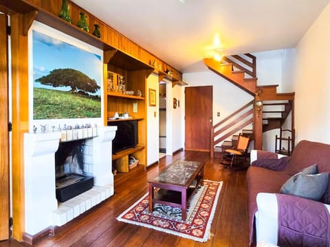 Living room, fireplace, air conditioner