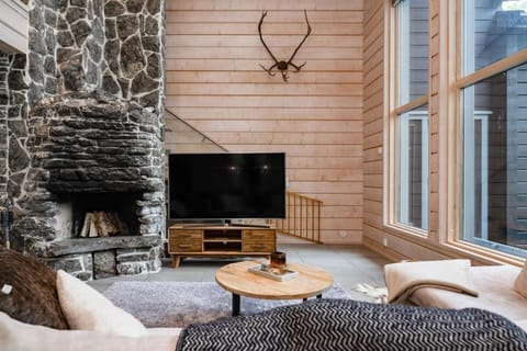 TV and multimedia, Living room, fireplace