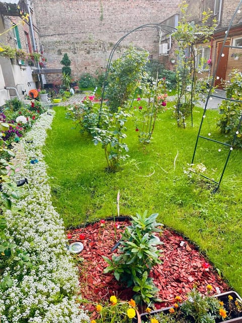 Garden, Garden
