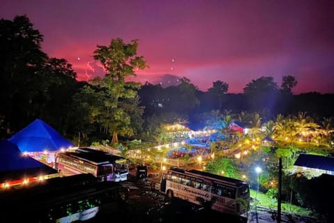 Night, Garden view