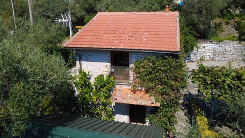 Property building, Garden, Garden view