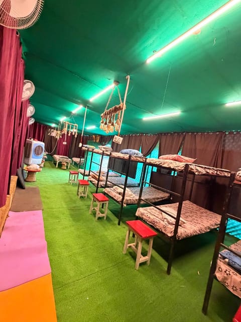 Bed, Photo of the whole room, Seating area, Bedroom, bunk bed