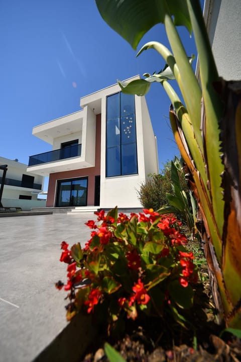 Property building, Day, Garden, Garden view