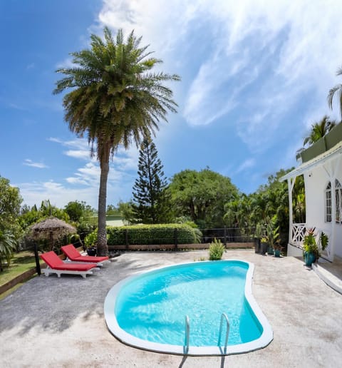 Garden, Pool view, Swimming pool, sunbed