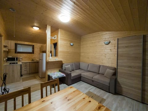 Kitchen or kitchenette, Living room, Seating area