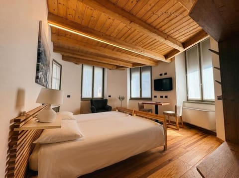 Bed, TV and multimedia, Living room, Photo of the whole room, Seating area, Bedroom