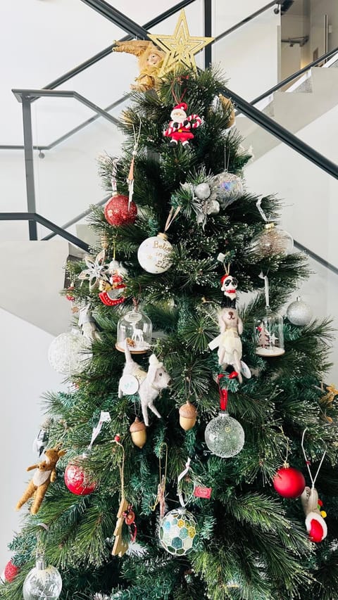 BKs Premier Motel Hamilton Apartment in Hamilton