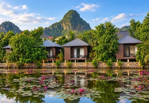 Property building, Nearby landmark, Spring, Day, Natural landscape, Garden, Garden view, Lake view, Mountain view, River view