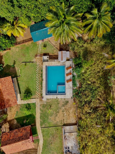 Bird's eye view, Garden view