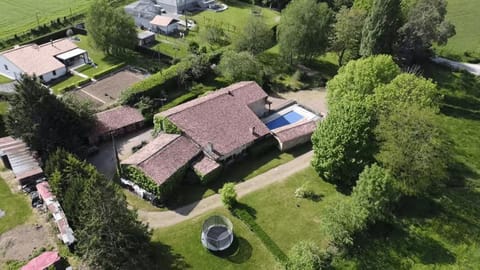 Garden, Swimming pool