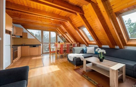 Kitchen or kitchenette, Living room, Seating area