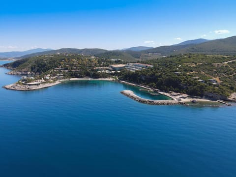 Property building, Day, Natural landscape, Bird's eye view, Beach, Sea view