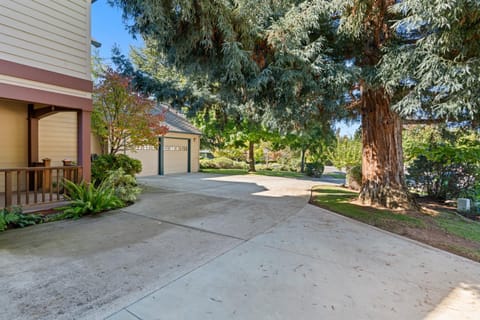 Day, Natural landscape, Garden, Garden view