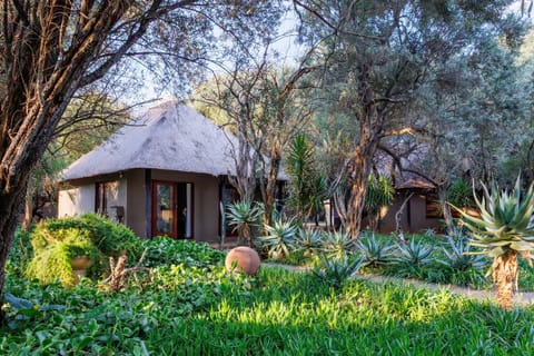 Property building, Spring, Day, Natural landscape, Garden, Garden view