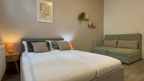 Bed, Living room, Photo of the whole room, Seating area, Bedroom