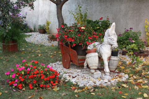 Location, children, Family